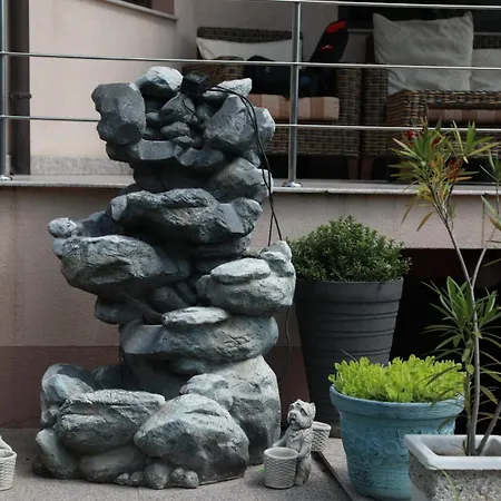 Casa Robert Si Razvan 게스트하우스 *